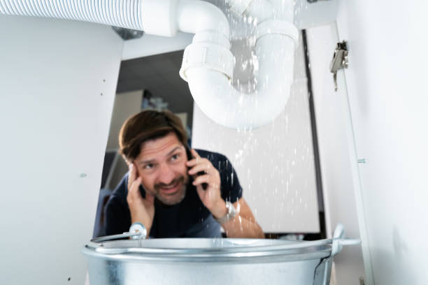 Best Affordable Plumbing Services  in Rogersville, TN