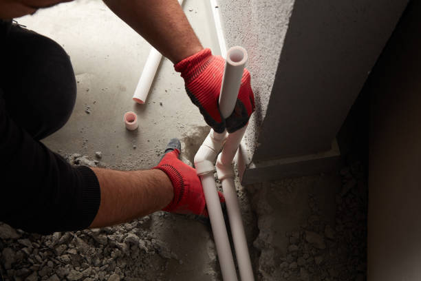 Best Local Plumber Services  in Rogersville, TN