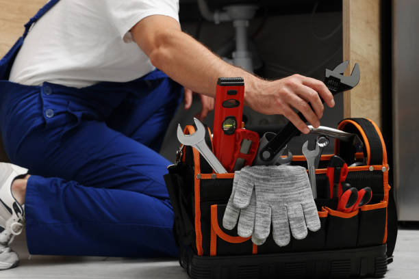 Best Toilet Repair Services  in Rogersville, TN