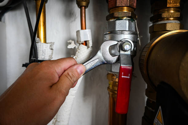 Best Emergency Plumber  in Rogersville, TN